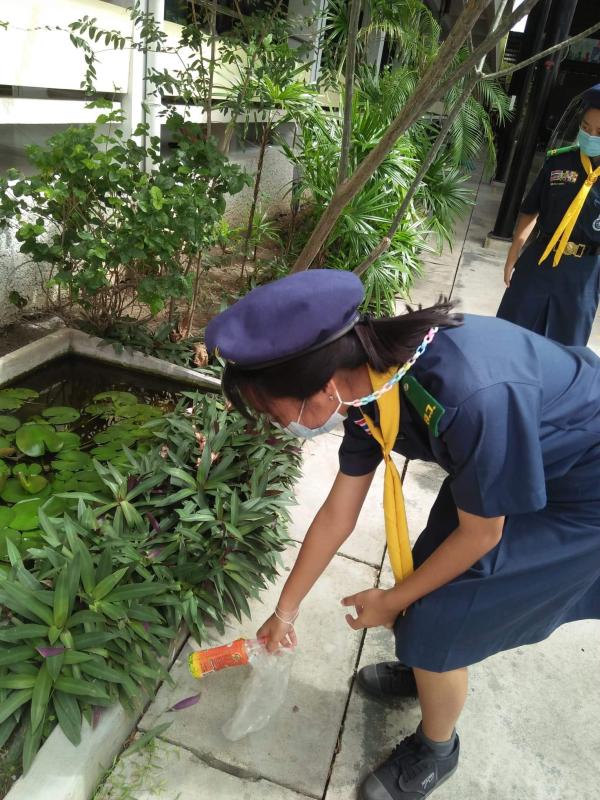 กิจกรรมเก็บขยะ