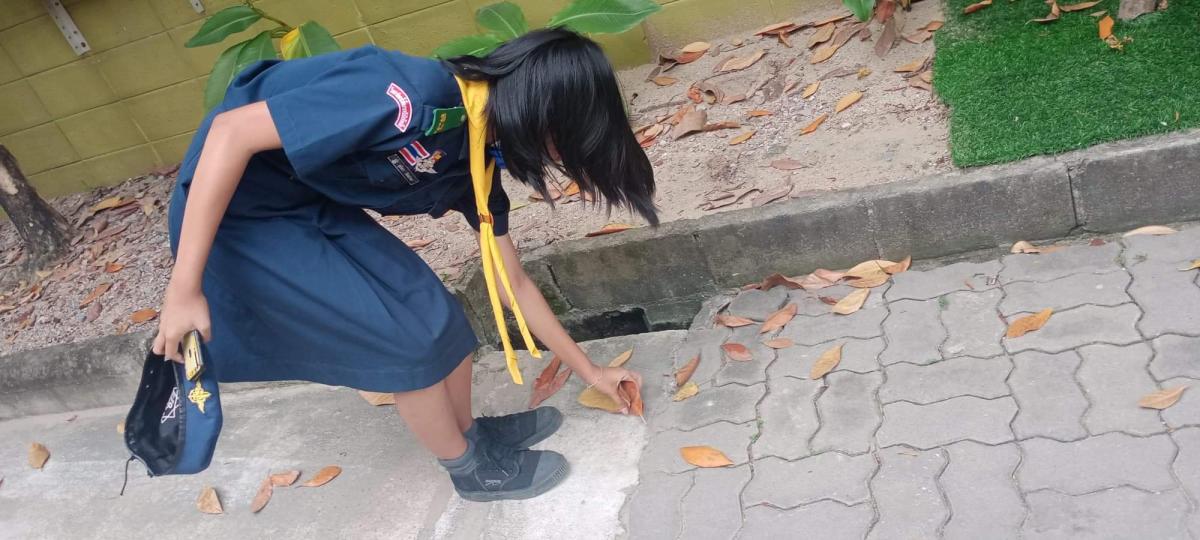 เก้บใบไม้