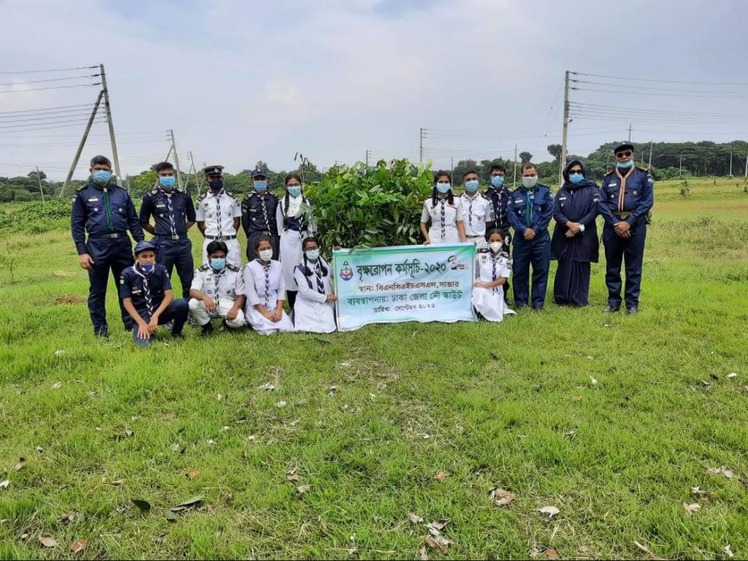 Tree Plantation 2020