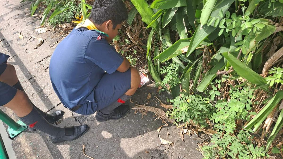 เก็บขยะ
