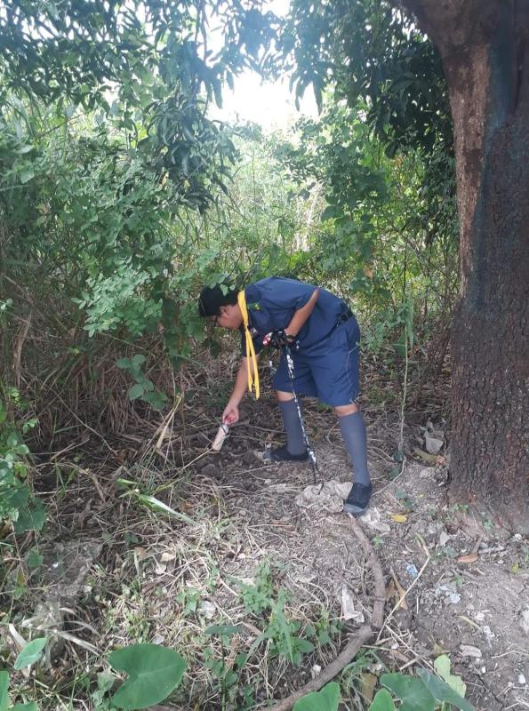 เก้บขยะในป่า