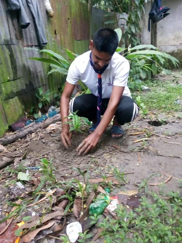 বৃক্ষ রোপন 