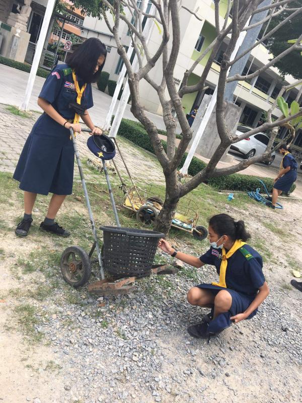 เก็บเศษใบไม้