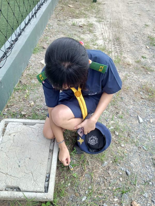 เก็บขยะในวิลัย