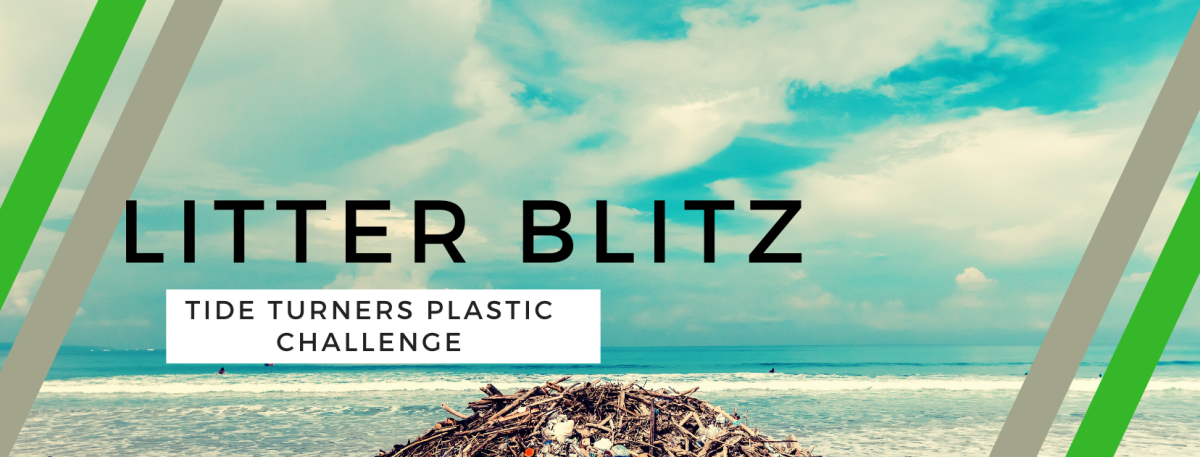 Litter Blitz- A Plastic Pollution Research