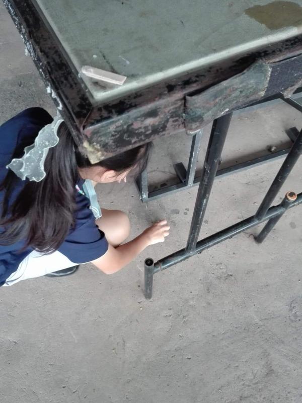 เก็บขยะ