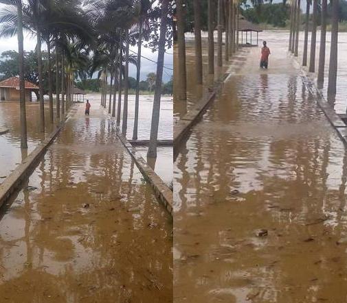 REQUEST FOR MESSENGERS OF PEACE SUPPORTS FUNDS 