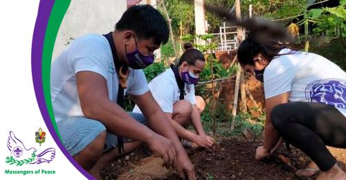 Urban Gardening | SANGALAB Circle 10 Rizal Council