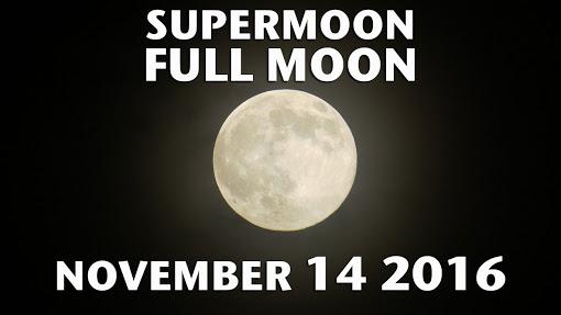 Observe the supermoon.