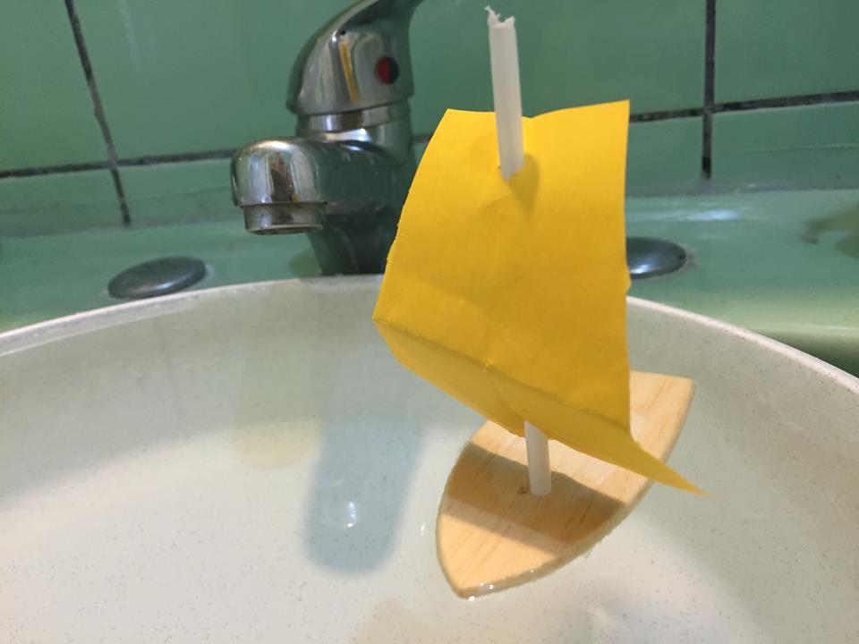 8 june Healty oceans Healty planet