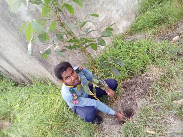 Plant more trees for better environment