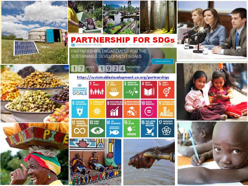 PARTNERSHIPS FOR SUSTAINABLE DEVELOPMENT FOR 17 GOALS AND 1924 INITIATIVES