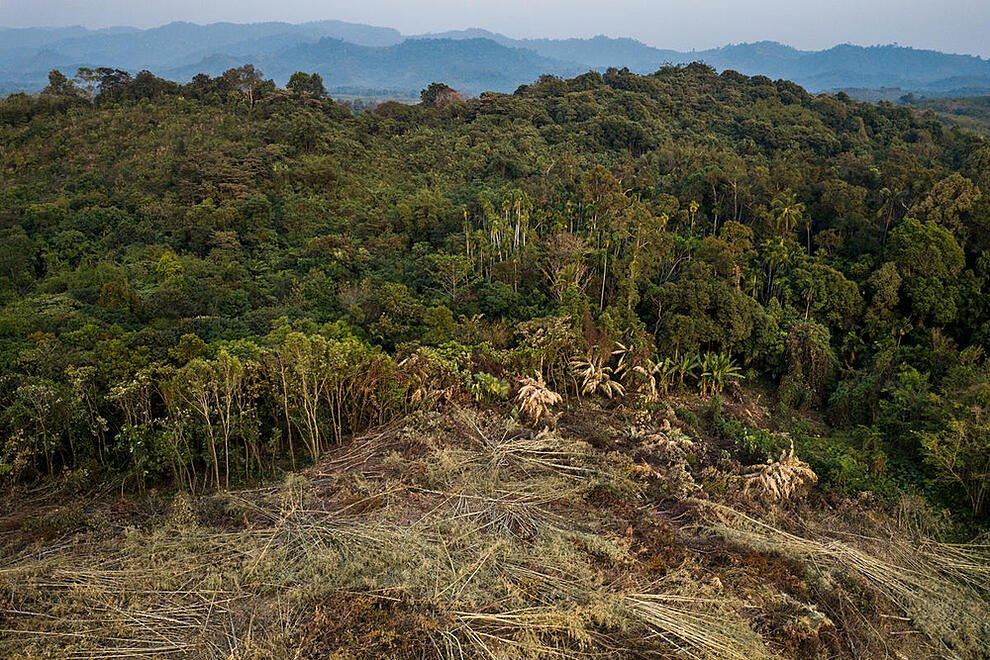 Voice for the planet