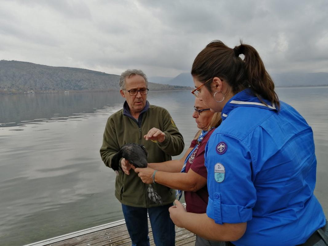 Rescuing wild life can be a difficult thing, but Scouts of Greece are up to the challenge