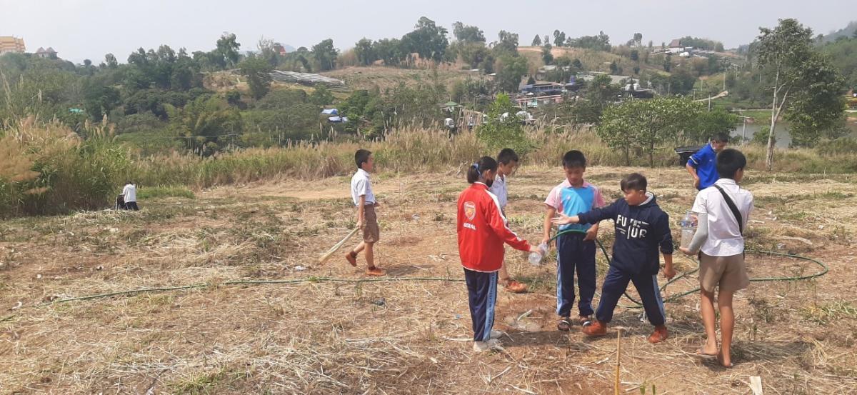 Take care of the planted trees