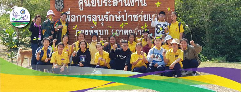 ปลูกป่าชายเลน