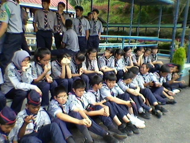 scouting in community through reforestation project