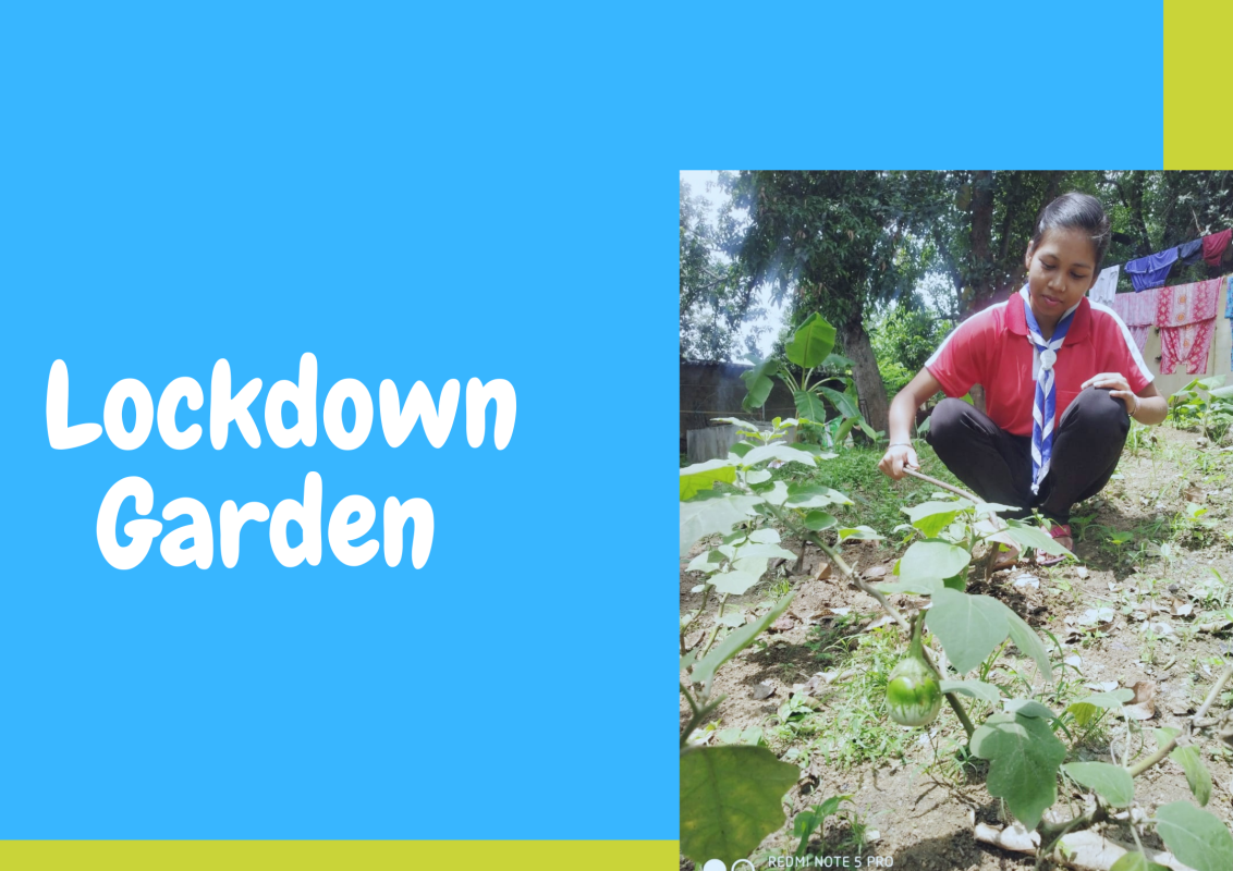 Activitie 5. Lockdown Garden (Sankalp) 