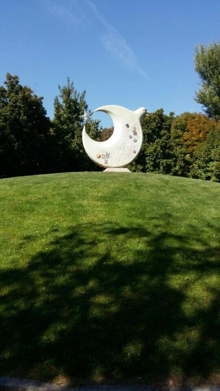 COLLECTION TUBİNG AND PLANTING  OAK TREE 