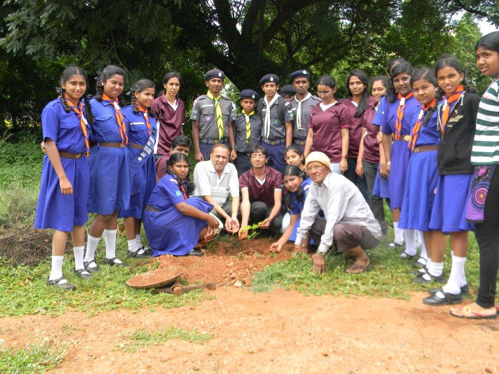 Plantation of 1000 Sapplings on 19-9-2014