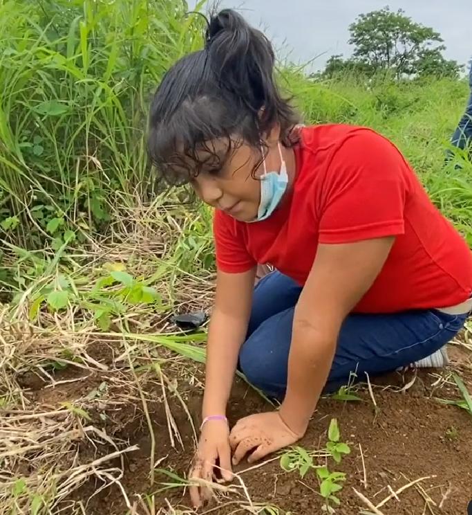 Project - Sankalp Group (B) - "Goorganic" BS&G D.H.Q. Jodhpur, Rajasthan, India