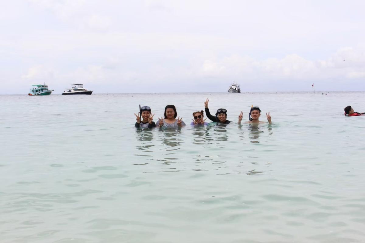 การดำนำ้ศึกษาปะการัง เกาะเต่า เกาะนางยวน