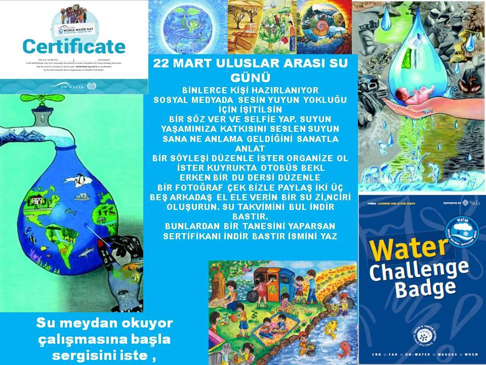 SUCH A NİCE WEEK FOR SCOUTING