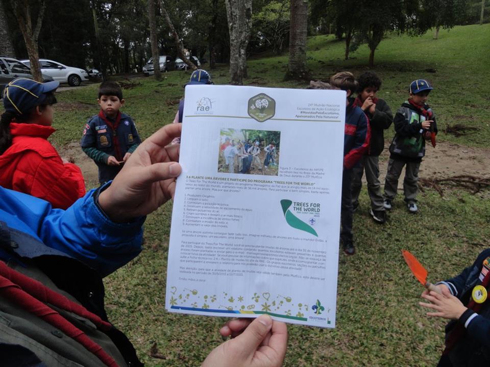 Plantio de Árvores Nativas do Paraná - Brazil