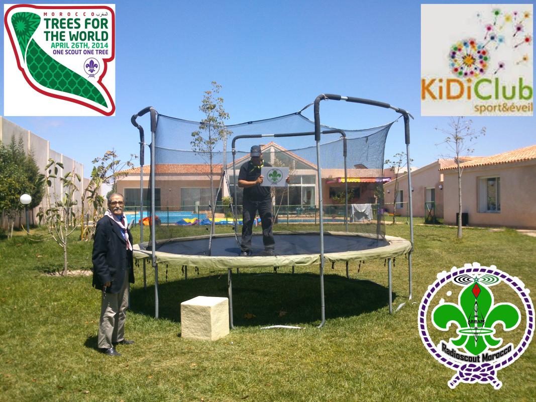 Trees of the world by Kidi Club Casablanca