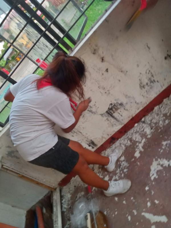 ENHANCEMENT OF THE HOME ECONOMICS BUILDING ( REMOVING THE PAINT COAT and REPAINTING THE WALL ( INTERIOR & EXTERIOR))