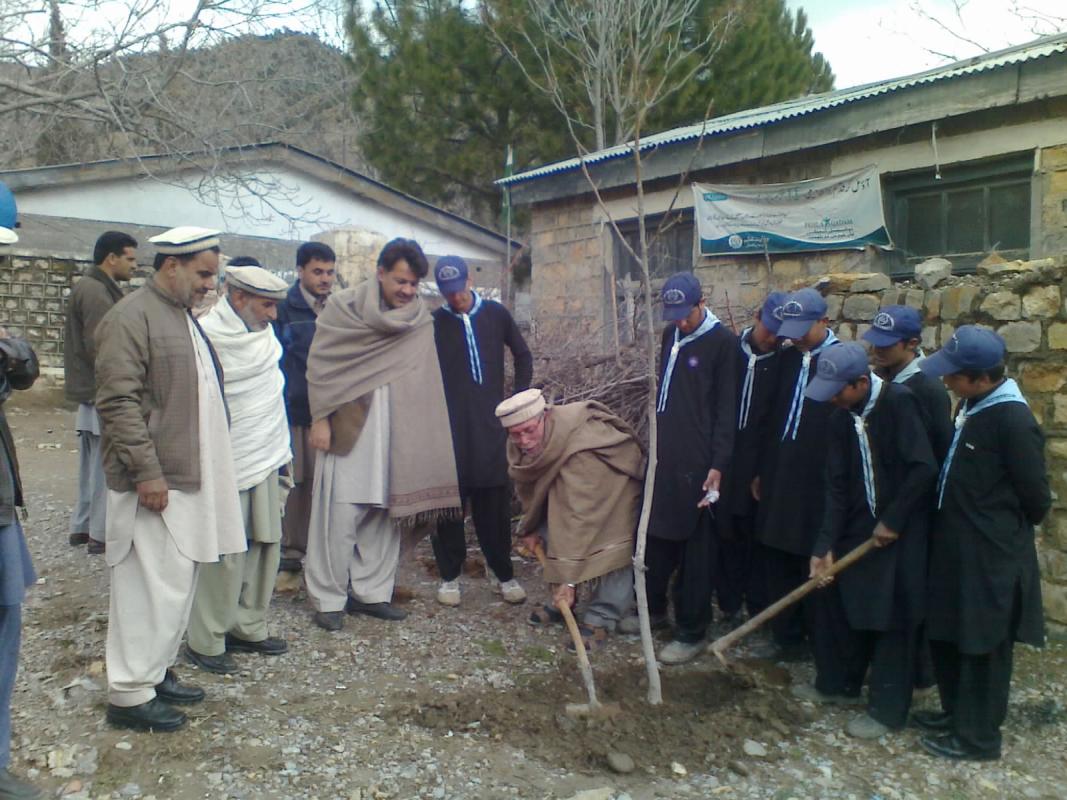 Tree Plantation