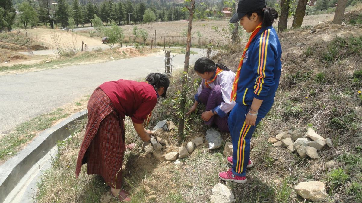 earth day plantation 