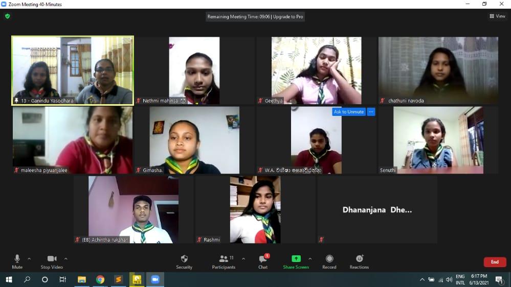 Scout Troop Online Meeting