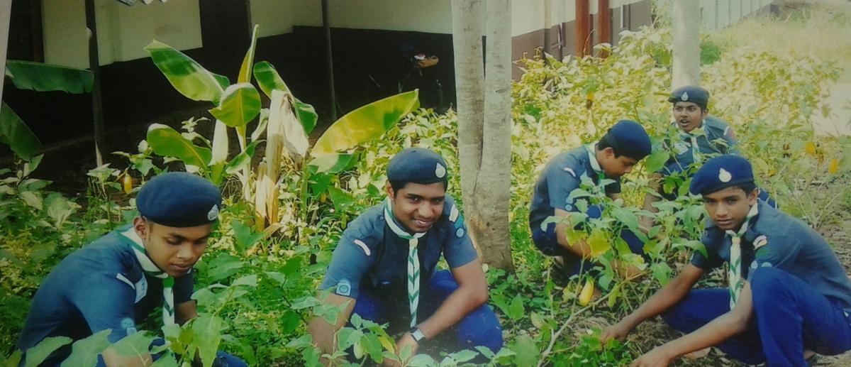 preservation of greenary