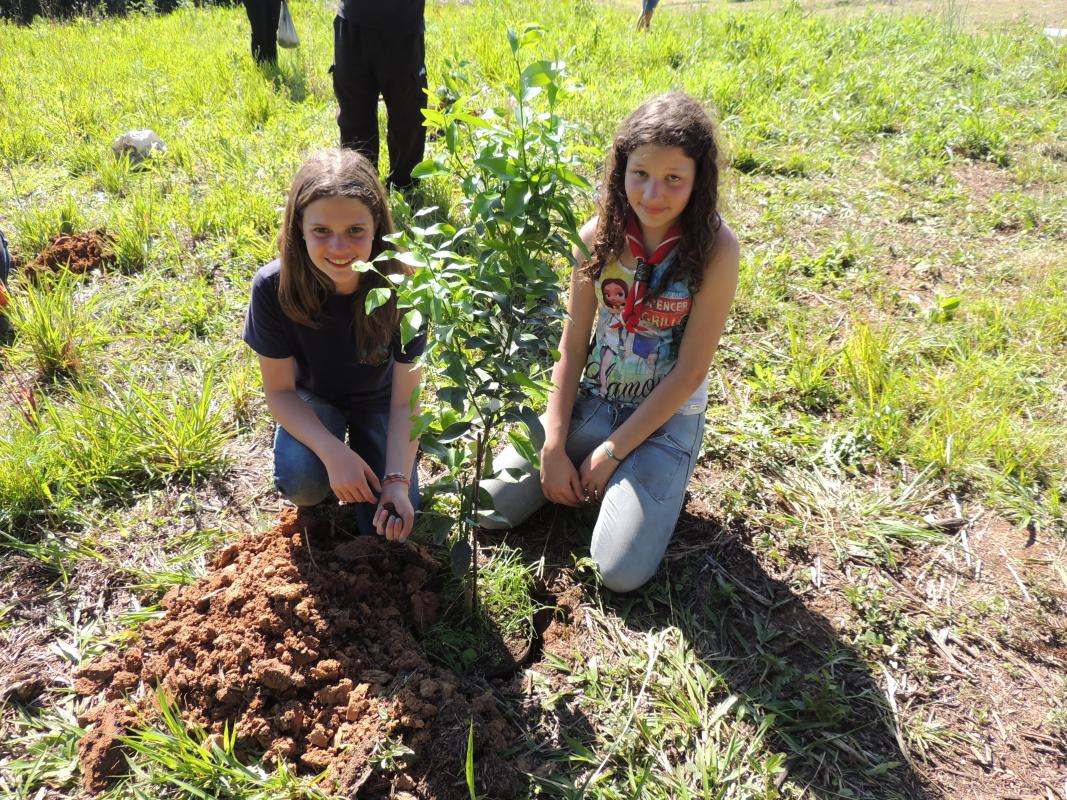 Trees For The World