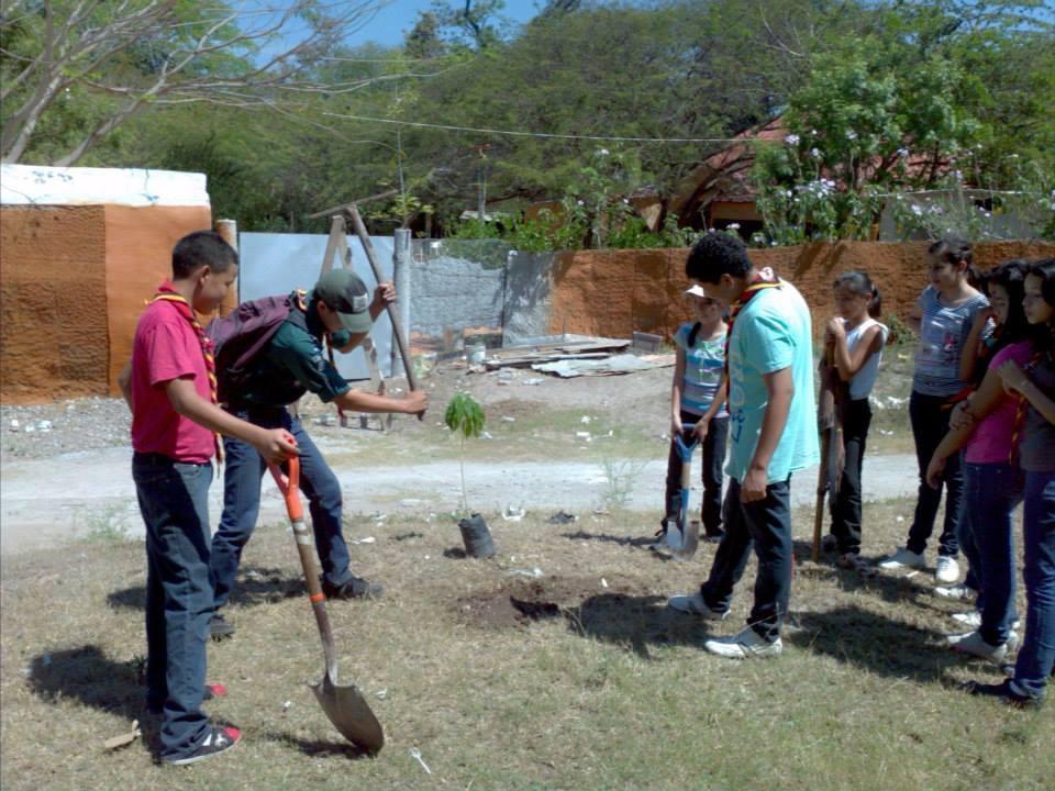 Actividad de Reforestación 