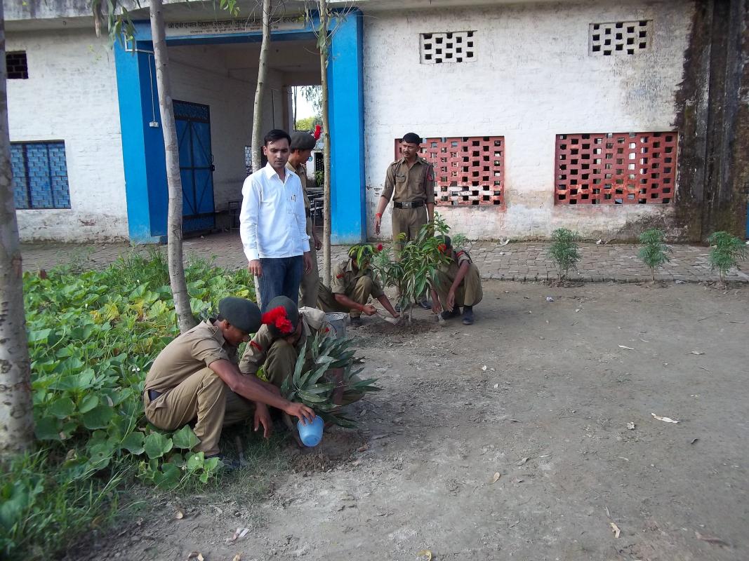 Tree Planting Program