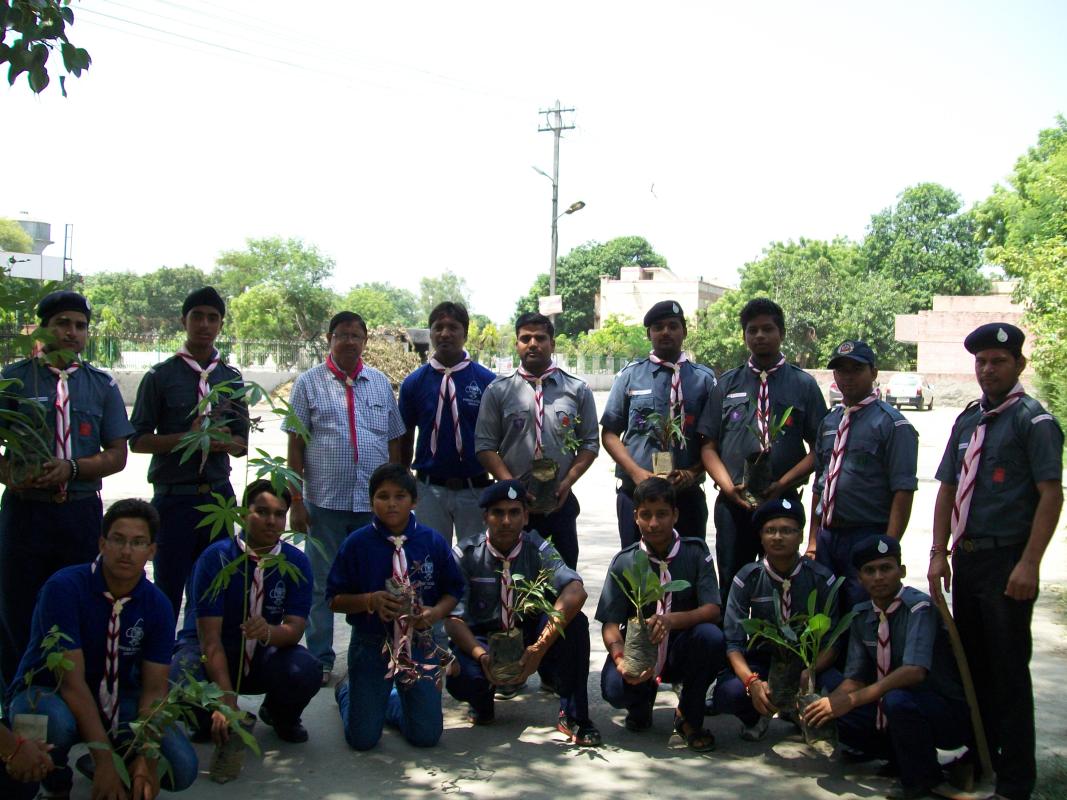 Tree Plantation Awareness  Program 
