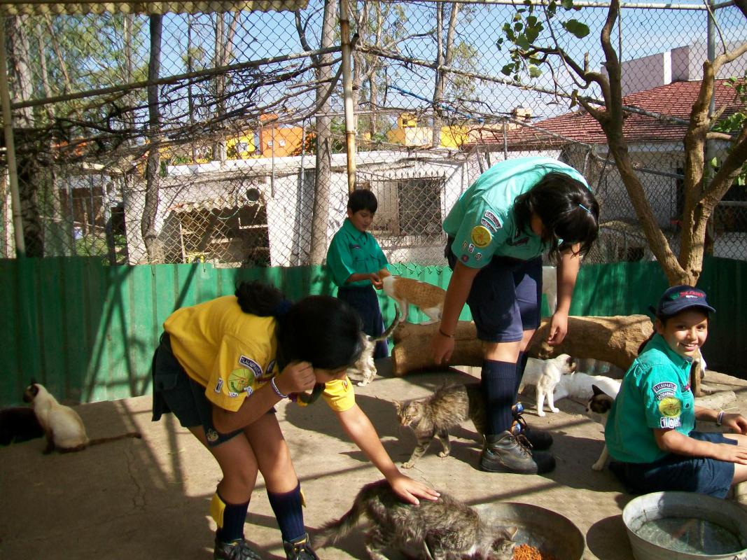 Proyecto Rescate Animal por la Paz / Animal Proyect Rescue for Peace
