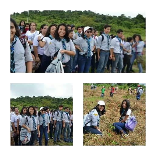 TREES FOR THE WORLD 2014