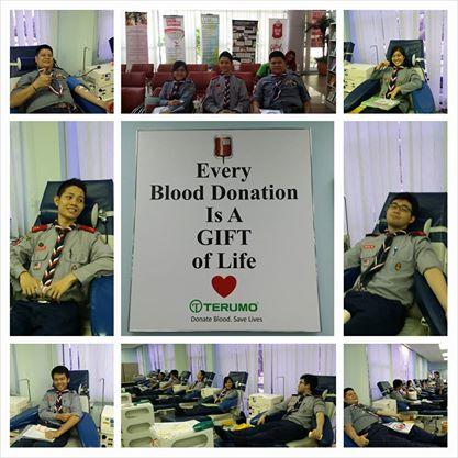 Save Life while we donate (Message of Peace Project)