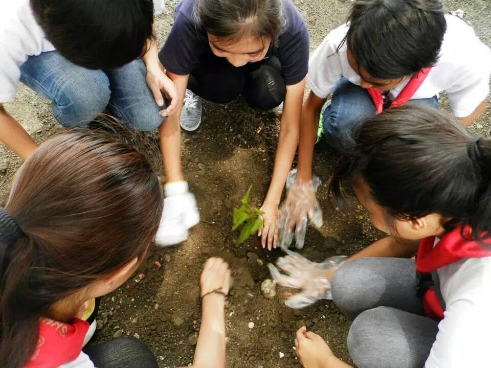 TREE PLANTING