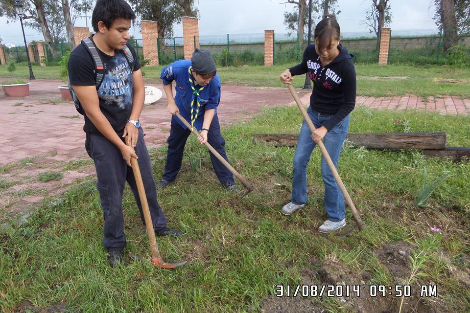 "Reforestemos Ameca"