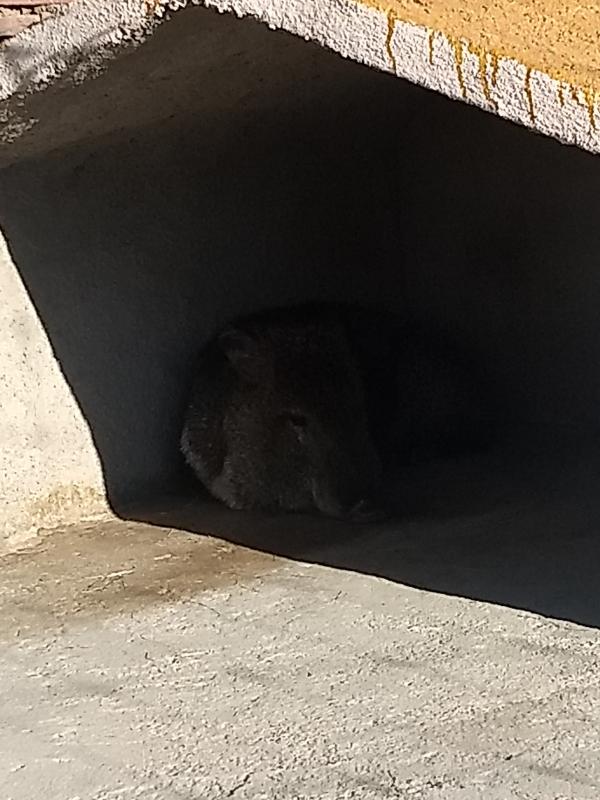 Demostración de Agroecosistemas y Naturaleza (DAN)