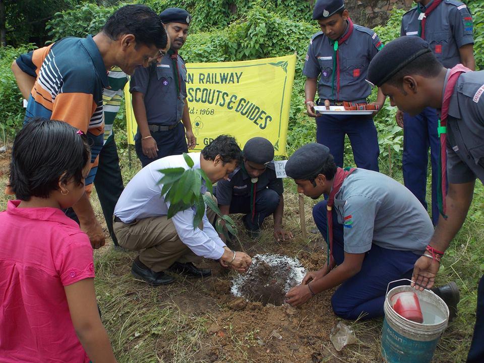 tree plantation