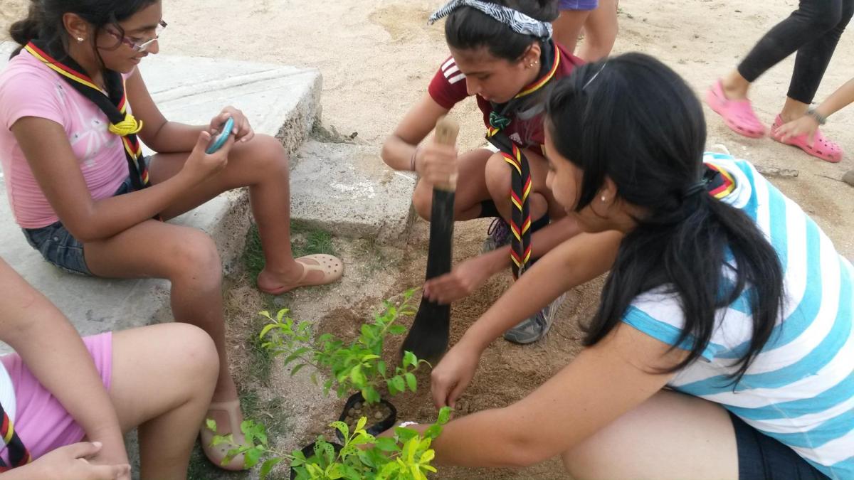 Sembrando oxígeno comunitario, siembro la verde paz