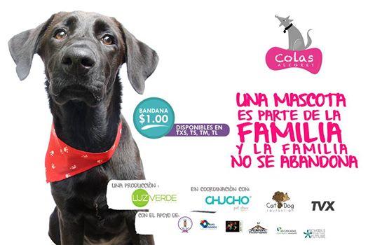 Colas Alegres