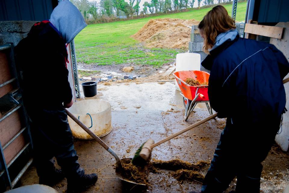 Community projects