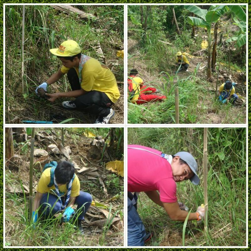 MoP Tree Planting 