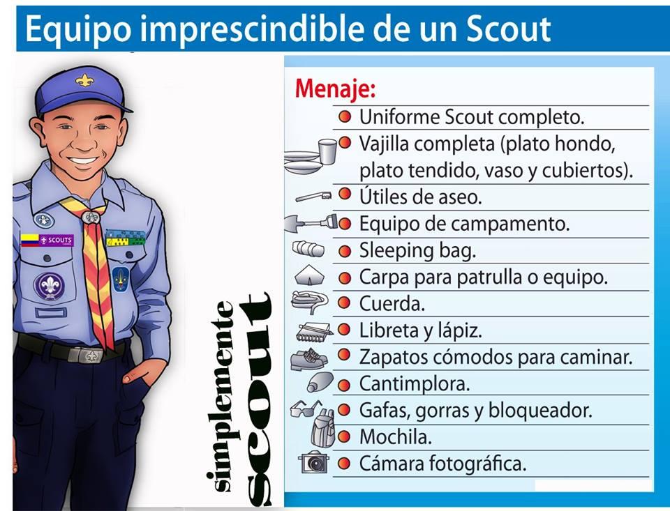 ayudando scouts